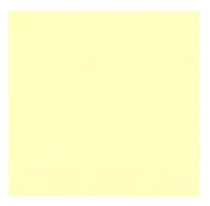 Ivory Beverage Napkins Catering Pack